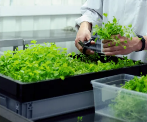 Screenshot 2025-01-23 103051